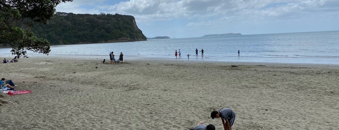 Wenderholm Regional Park is one of Auckland.