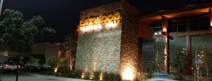 Lazy Dog Restaurant & Bar is one of Lugares favoritos de Joe.