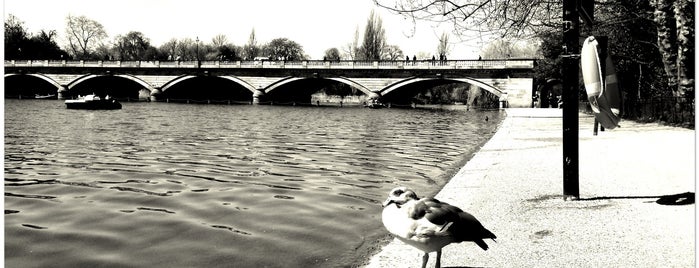 The Serpentine is one of londres.
