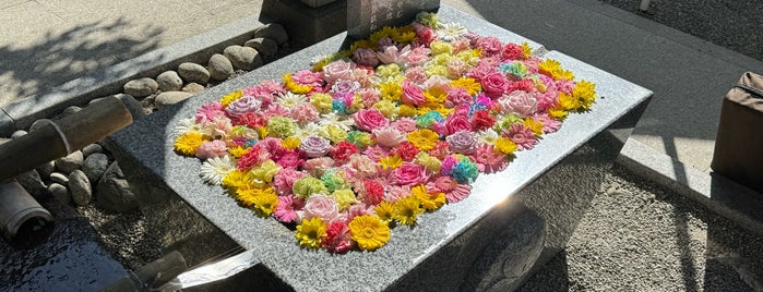荘内神社 is one of 行きたい神社.