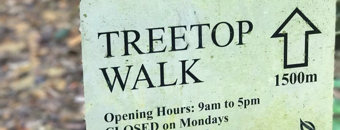 TreeTop Walk is one of Tino : понравившиеся места.