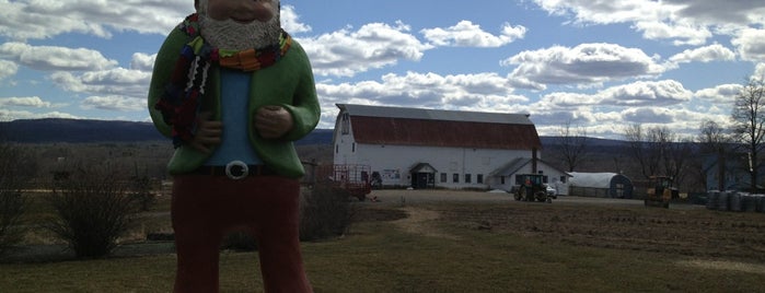 Largest Gnome In The World is one of Things to do with family when they're in town.
