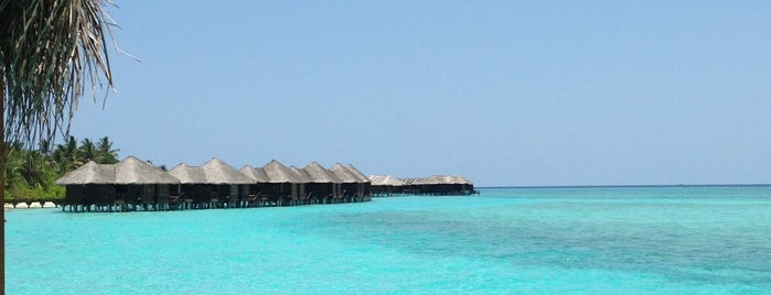 Sheraton Maldives Full Moon Resort & Spa is one of Lieux sauvegardés par Yaron.