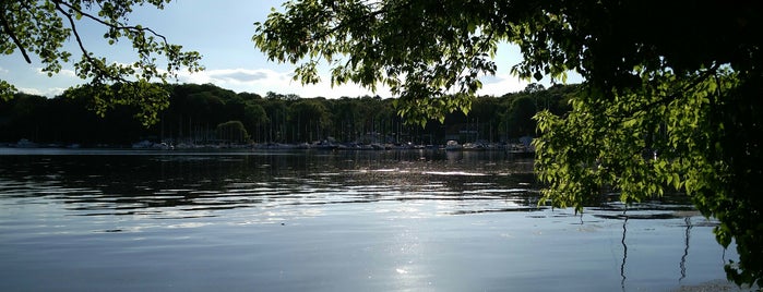 Freizeitpark Tegel is one of Sarah : понравившиеся места.