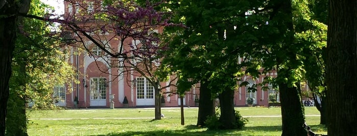 Schlosspark Biebrich is one of Posti salvati di Kübra.