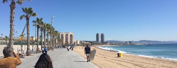 Playa de la Barceloneta is one of I Love Barcelona.