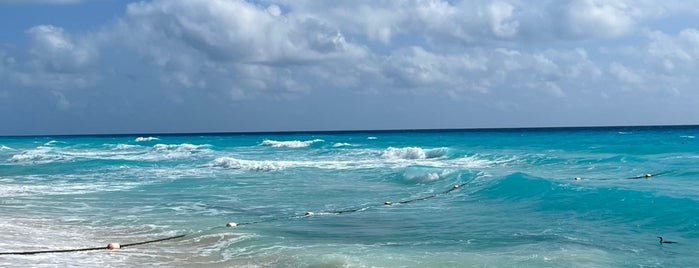 Playa Paradisus is one of Stevenson's Favorite World Beaches.