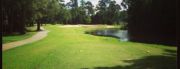 Heron Point Golf Club is one of Favorite golf places.
