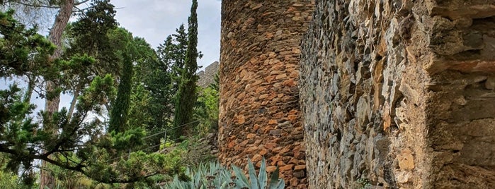 Chateau de Castelnou is one of Spain.