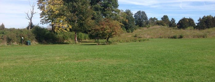Nashotah Dog Park is one of Lugares favoritos de Hannah.
