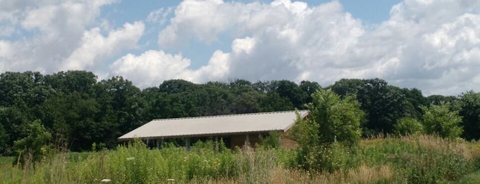 Mather Woods is one of Hiking in Northeast Illinois.