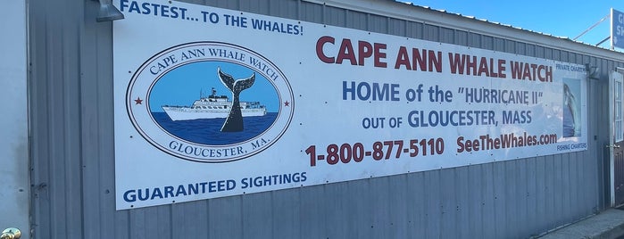 Cape Ann Whale Watch is one of Boston To Do.