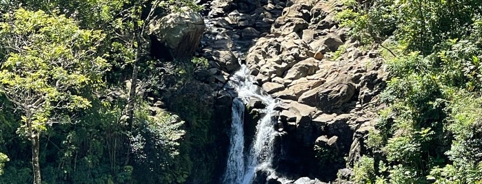 Puohokamoa Falls is one of Maui.