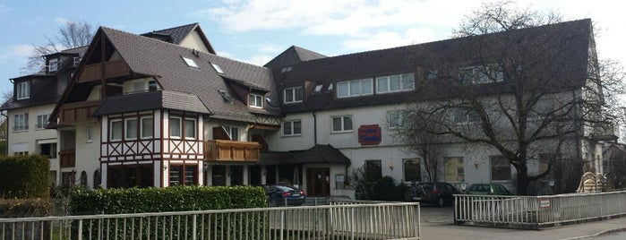 Hotel Restaurant Traube is one of Hotels.