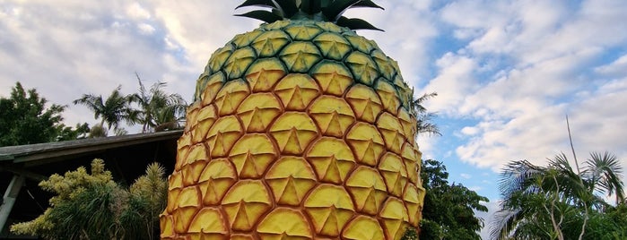 Big Pineapple is one of Sydney to Brisbane.