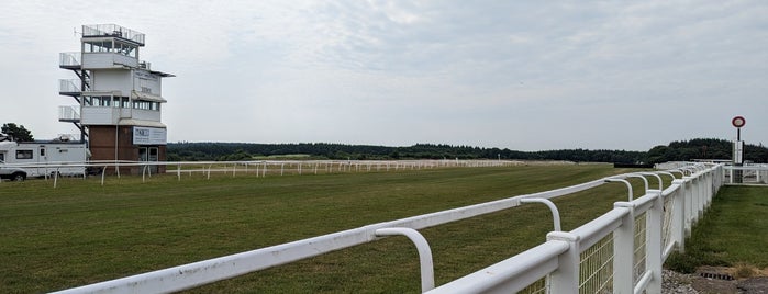 Exeter Racecourse is one of Horse Racecourses of UK.