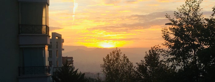 Mandıracı amca is one of Şarküteri, Mandıra, Peynirci.