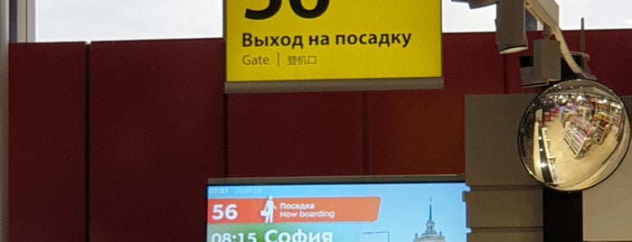 Выход 56 / Gate 56 (F) is one of SVO Airport Facilities.