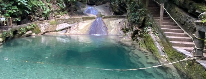 Las Pozas is one of Mexico.