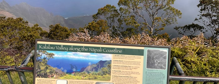 Kalalau Lookout is one of Kauai 🌸.