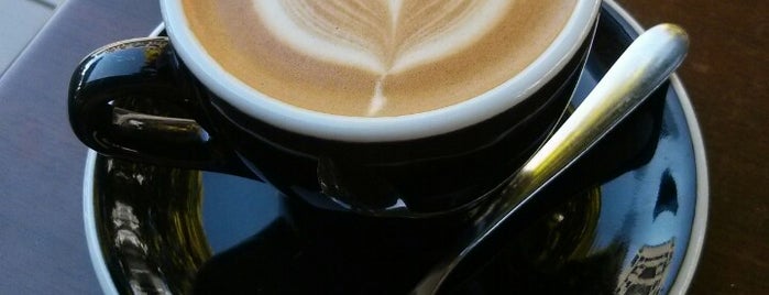 TOP Auckland CBD Coffee