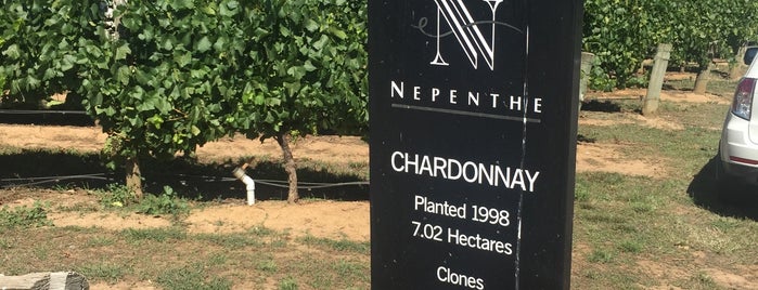 Nepenthe Wines is one of Day Trips in SA.