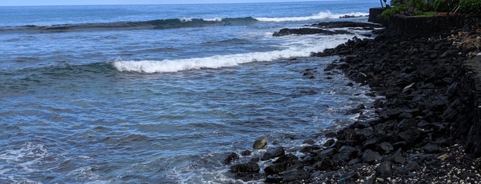 Turtle Cove is one of Hawaii.