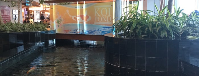 Koi Pond is one of Singapore.