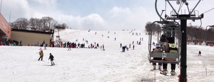 Hakuba Goryu Snow Resort is one of Ski area.