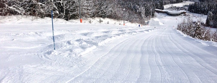 白馬さのさかスキー場 is one of Ski area.