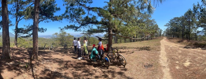 Cycling Tour Dalat Discovery Travel is one of Da Lat City Place I visited.