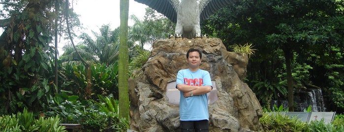 Jurong Bird Park is one of Singapore Place I visited.