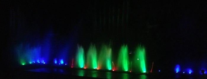 Vinpearl Water Music Show is one of Khanh Hoa Nha Trang Place I visited.