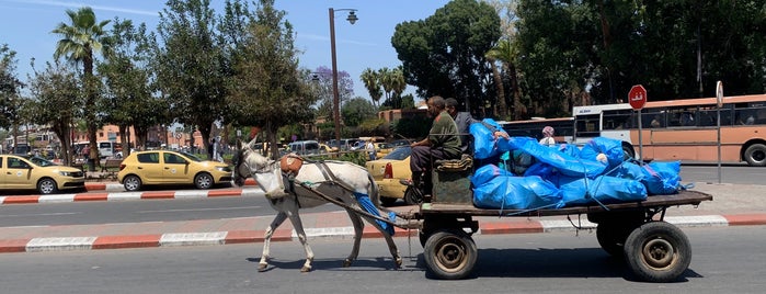 Ezgi'nin Beğendiği Mekanlar