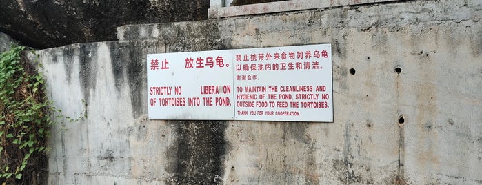 Kek Lok Si Temple (極樂寺) is one of Penang Malezya.