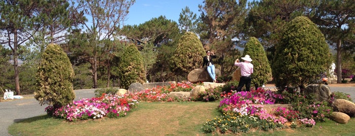 Đồi Vọng Cảnh (Thung lũng Tình yêu) is one of Da Lat City Place I visited.