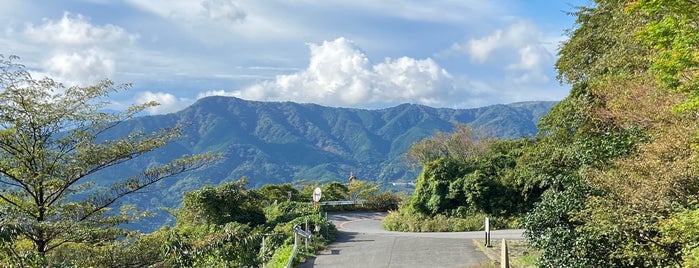 椿ライン is one of 伊豆・箱根.