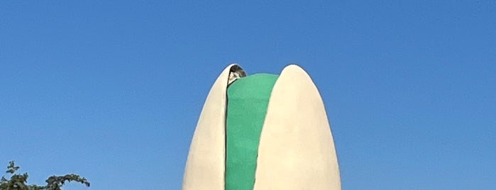 Giant Pistachio is one of Weird Landmarks.