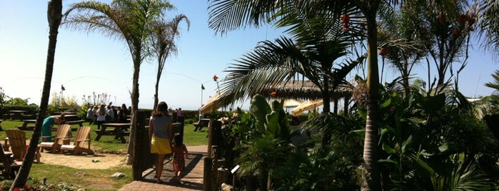 Beach Grill at Padaro is one of Locais curtidos por Douglas.