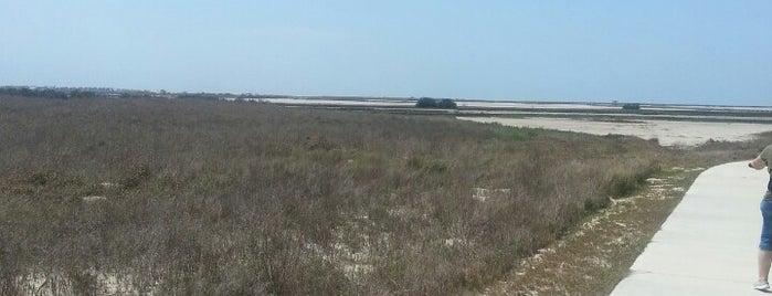 Port Aransas Nature Preserve is one of Beach Trip.