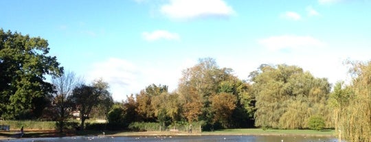 Verulamium Park is one of St Albans.