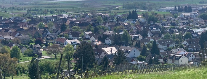 Gasthof Adler is one of Region Baden.