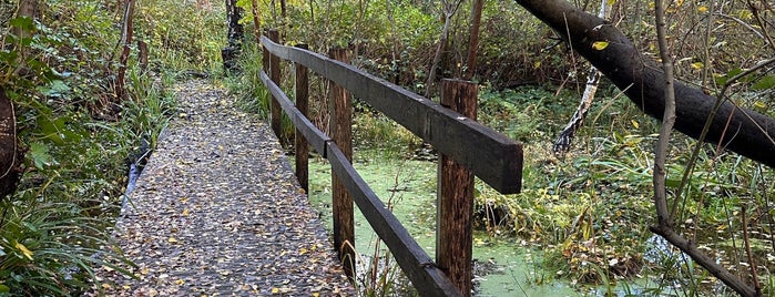 Gunnersbury Triangle is one of London 001.