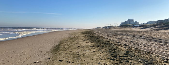 Strand Noordwijk aan Zee (Zuid) is one of Leisure Activities.