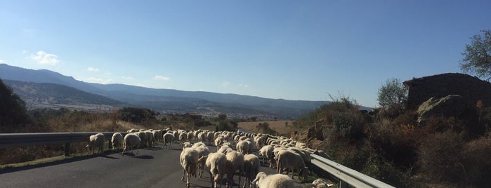 Terme di Fordongianus is one of Sardinia.