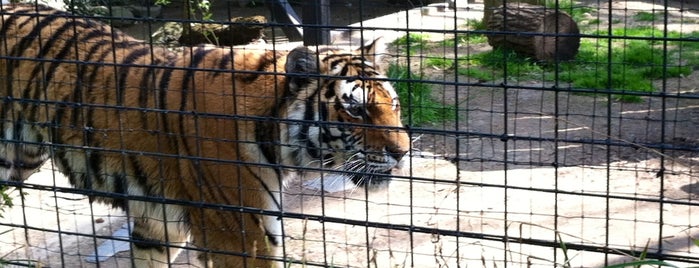Brandywine Zoo is one of Wonders of Wilmington.