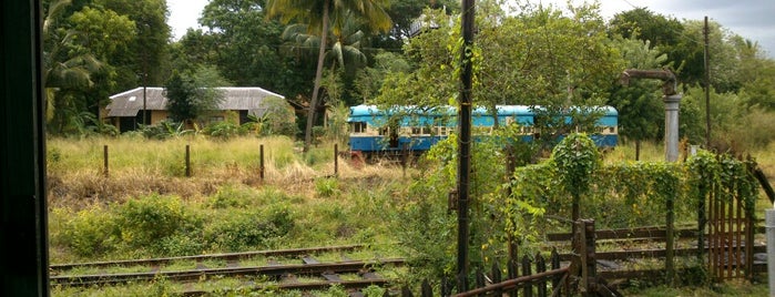 Maho Junction Railway Running Shed is one of Railway Stations In Sri Lanka.