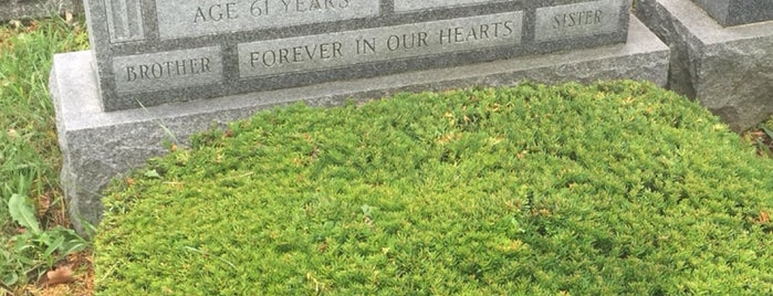 Beth David Cemetery is one of Lugares favoritos de Gayla.