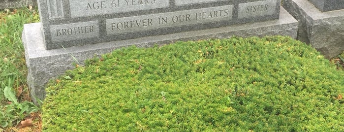 Beth David Cemetery is one of Orte, die Gayla gefallen.