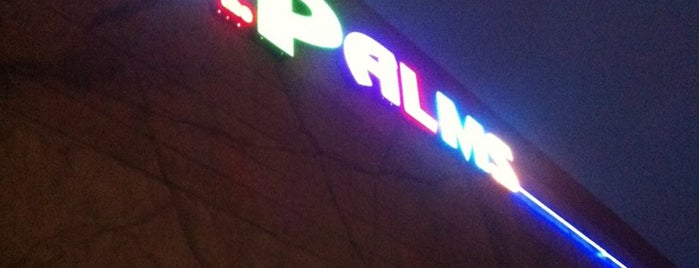 The Palms is one of strip clubs XXX.